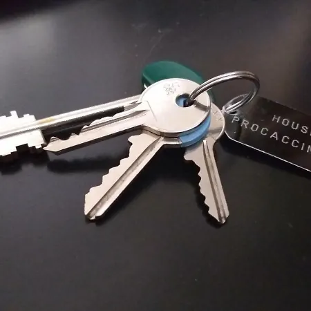 House Procaccini, 20